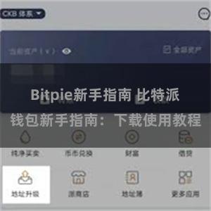   Bitpie新手指南 比特派钱包新手指南：下载使用教程