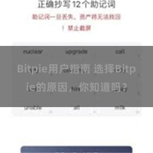   Bitpie用户指南 选择Bitpie的原因，你知道吗？