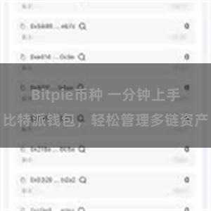   Bitpie币种 一分钟上手比特派钱包，轻松管理多链资产