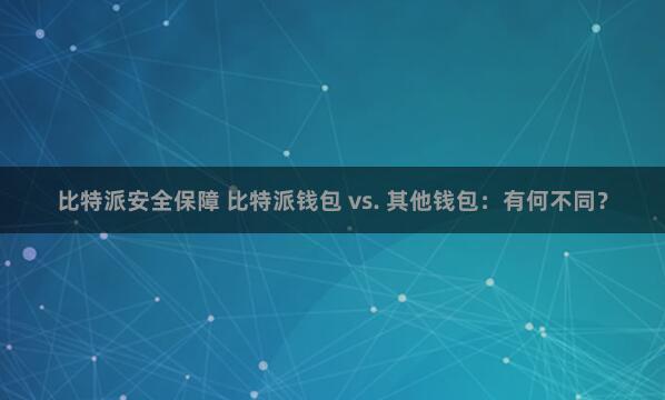   比特派安全保障 比特派钱包 vs. 其他钱包：有何不同？