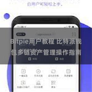 Bitpie用户教程 比特派钱包多链资产管理操作指南