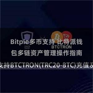   Bitpie多币支持 比特派钱包多链资产管理操作指南