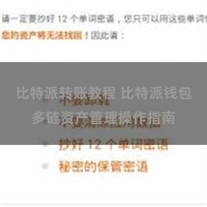 比特派转账教程 比特派钱包多链资产管理操作指南