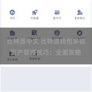 比特派中文 比特派钱包多链资产管理技巧：全面攻略