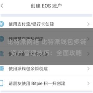 比特派网络 比特派钱包多链资产管理技巧：全面攻略