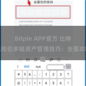 Bitpie APP官方 比特派钱包多链资产管理技巧：全面攻略