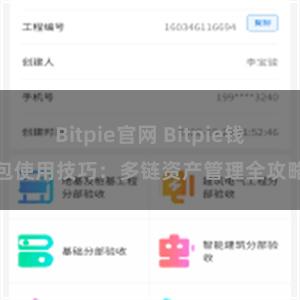 Bitpie官网 Bitpie钱包使用技巧：多链资产管理全攻略