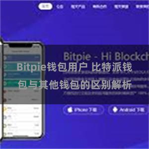 Bitpie钱包用户 比特派钱包与其他钱包的区别解析