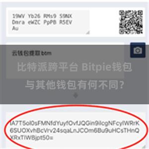 比特派跨平台 Bitpie钱包与其他钱包有何不同？