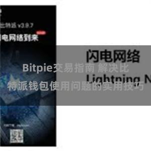 Bitpie交易指南 解决比特派钱包使用问题的实用技巧