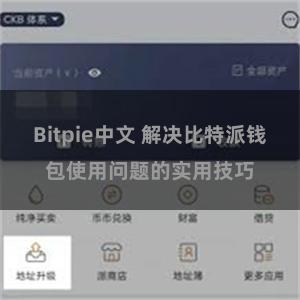 Bitpie中文 解决比特派钱包使用问题的实用技巧