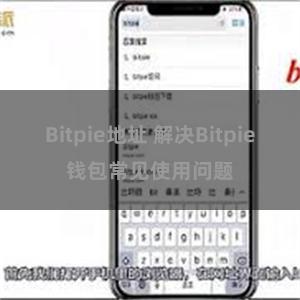 Bitpie地址 解决Bitpie钱包常见使用问题