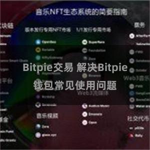 Bitpie交易 解决Bitpie钱包常见使用问题