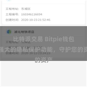 比特派交易 Bitpie钱包：强大的隐私保护功能，守护您的资产