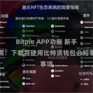 Bitpie APP功能 新手指南：下载并使用比特派钱包必知事项