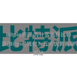 Bitpie资源 为什么选择比特派(Bitpie)钱包？五大优势揭秘