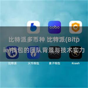 比特派多币种 比特派(Bitpie)钱包的团队背景与技术实力