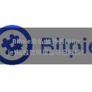 Bitpie隐私 比特派(Bitpie)钱包如何设置每日限额？