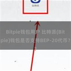 Bitpie钱包用户 比特派(Bitpie)钱包是否支持BEP-20代币？