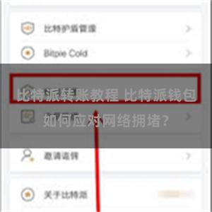 比特派转账教程 比特派钱包如何应对网络拥堵？