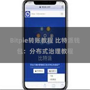  Bitpie转账教程 比特派钱包：分布式治理教程