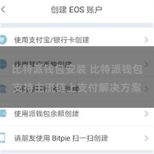   比特派钱包安装 比特派钱包支持主流链上支付解决方案