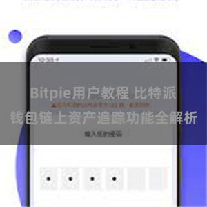   Bitpie用户教程 比特派钱包链上资产追踪功能全解析