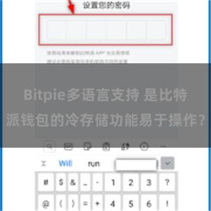   Bitpie多语言支持 是比特派钱包的冷存储功能易于操作？