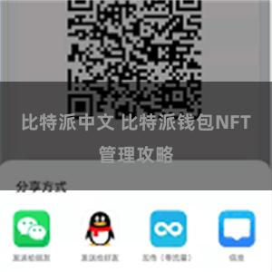  比特派中文 比特派钱包NFT管理攻略