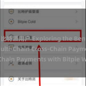   比特派用户 Exploring the Benefits of Multi-Chain Cross-Chain Payments with Bitpie Wallet