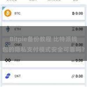   Bitpie备份教程 比特派钱包的隐私支付模式安全可靠吗？