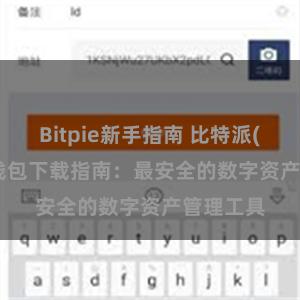   Bitpie新手指南 比特派(Bitpie)钱包下载指南：最安全的数字资产管理工具
